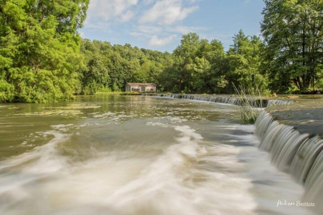 Château des Loups - Les Cèdres Bleus Echire Exterior foto