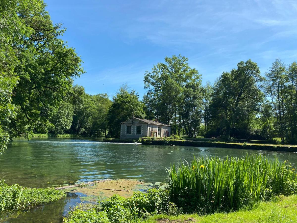 Château des Loups - Les Cèdres Bleus Echire Exterior foto